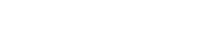 GullyFynd