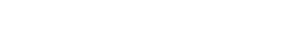 GullyFynd